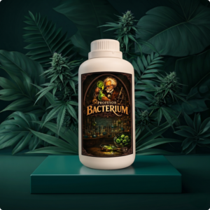 Biofertilizante microbiano para activar la vida del suelo